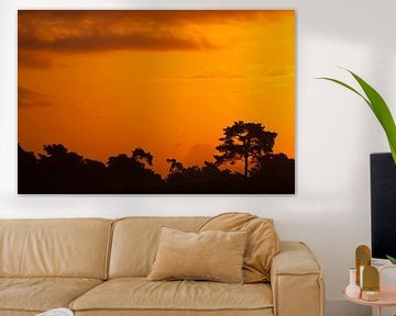 Silhouet dennenbomen met een oranje lucht van Fokko Erhart