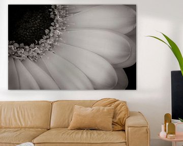 Flower (Gerbera) by Jefra Creations