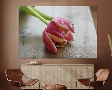 Tulp met waterdruppels by Marleen van der Wal - Hinderks