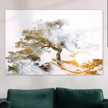 Baum mit strahlender Kraft im Sonnenuntergang