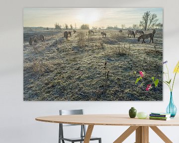 Kudde konik-paarden in winterland von Fokko Erhart