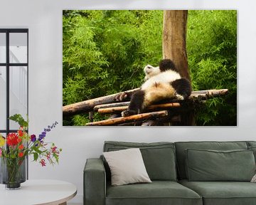 It's Panda relax time by Zoe Vondenhoff