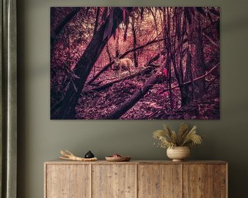 Another antler in the red forest sur Elianne van Turennout