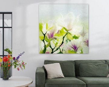 magnolia van Andreas Wemmje