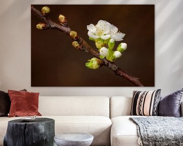 Pear blossom sur Maren Oude Essink