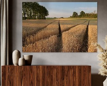 Korenveld bij Riemst (B) - Wheat field at Riemst (B) van Ton Reijnaerdts