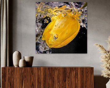 Gele tulp in sprankelend water van Jenco van Zalk