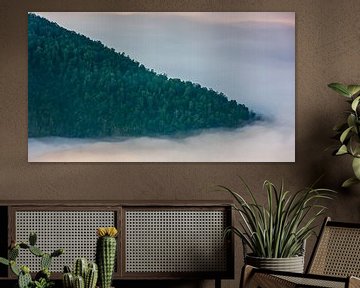 Blick vom Stegastein, weit über den Wolken von Henk Meijer Photography