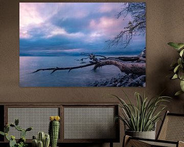 Baltic Sea coast on the island Moen in Denmark by Rico Ködder