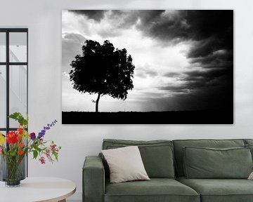 De boom zwart-wit fotografie