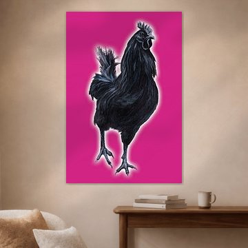 Big Black Cock (grote zwarte haan)