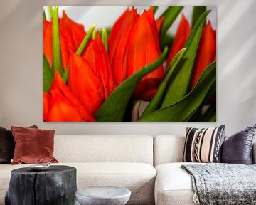 Orange tulips van Michael Nägele