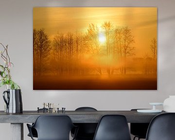 Bäume im Morgennebel van Lars Tuchel