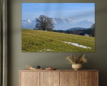 View of the Alps - bavaria van Peter Bergmann