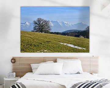 View of the Alps - bavaria