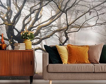 The entangled witch by Rob Visser