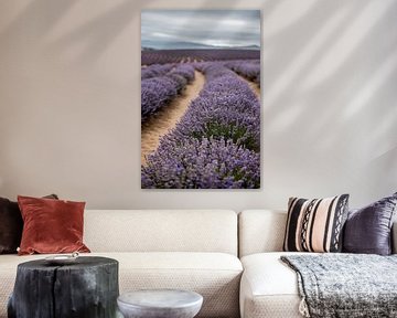 Lavendel landschap van Anne Loman