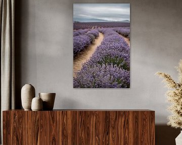 Lavender landscape by Anne Loman