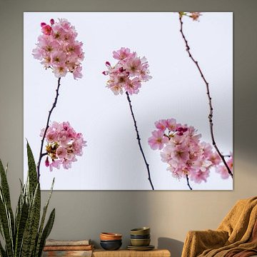 Er hangt iets in de lucht...