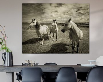 Paarden in een weiland, in Wales / wolken / grijs / zwart wit / vintage / fotografie / kunst