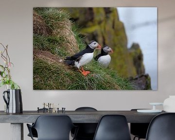 Papegaaiduiker (puffin) van Yolande Tump