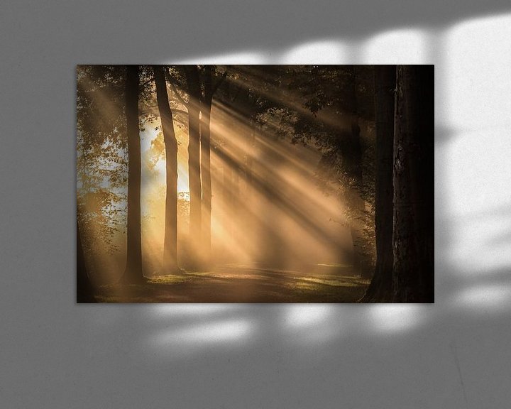 Beispiel: Spectaculaire zonnestralen schijnen over een bospad in Amelisweerd von Arthur Puls Photography