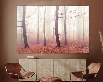 Forêt d'automne sur Lavieren Photography