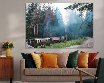 Stoomtrein door de Harz van Lavieren Photography