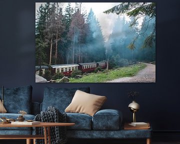 Stoomtrein door de Harz van Lavieren Photography
