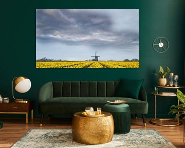 Windmill and daffodils by Menno Schaefer