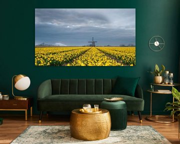 Windmill and daffodils by Menno Schaefer