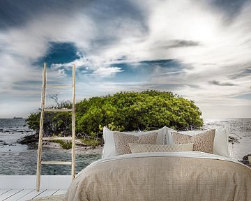 Mangrove Curacao van Keesnan Dogger Fotografie