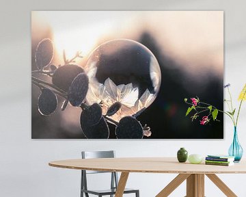 Kunst aus Eis und Seife