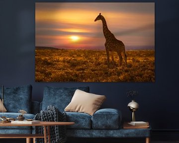 Giraffe bij zonsondergang van Chris Stenger