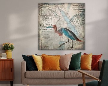 Egypt Heron