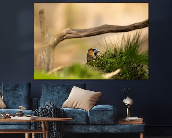 Aperçu de la chambre