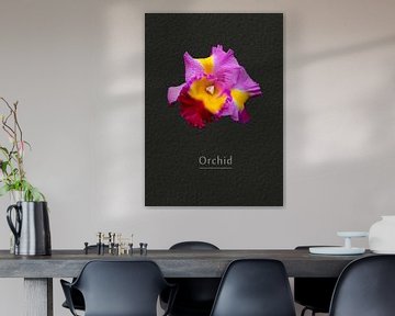 Orchid by Leopold Brix