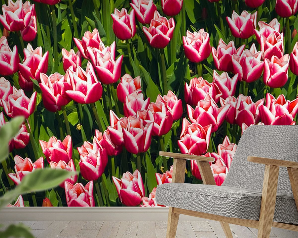 Raumvorschau