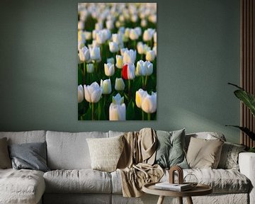 Tulpenseizoen in Nederland van Henk Meijer Photography
