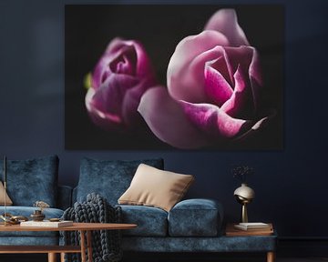 Bloeiende magnolia van Mayra Fotografie