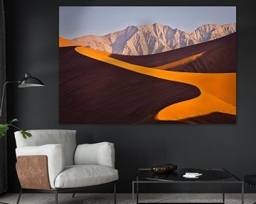 Landscape with red sand dunes in the Namib desert by Chris Stenger
