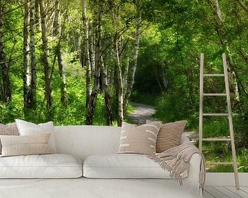 Birch Forest by Violetta Honkisz