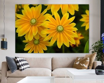 Gele bloemen van Photography by Karim