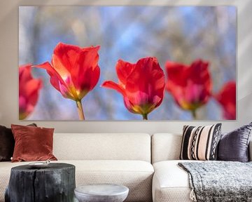Glückliche Tulpen von Jefra Creations