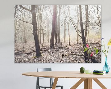 forêt dans le matin brumeux sur Lavieren Photography