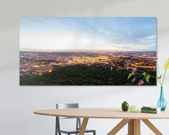 Aperçu de la chambre