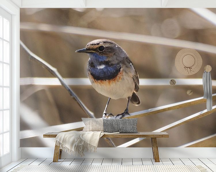 Aperçu de la chambre