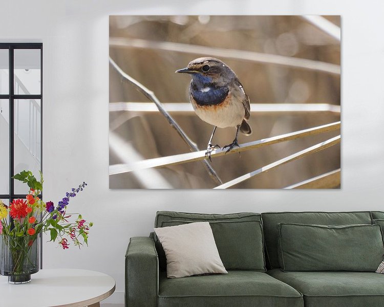 Aperçu de la chambre