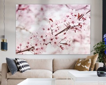 blossom by Jessica Berendsen