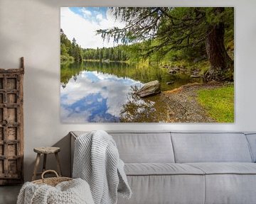 Lac dans la forêt de pins sur Coen Weesjes